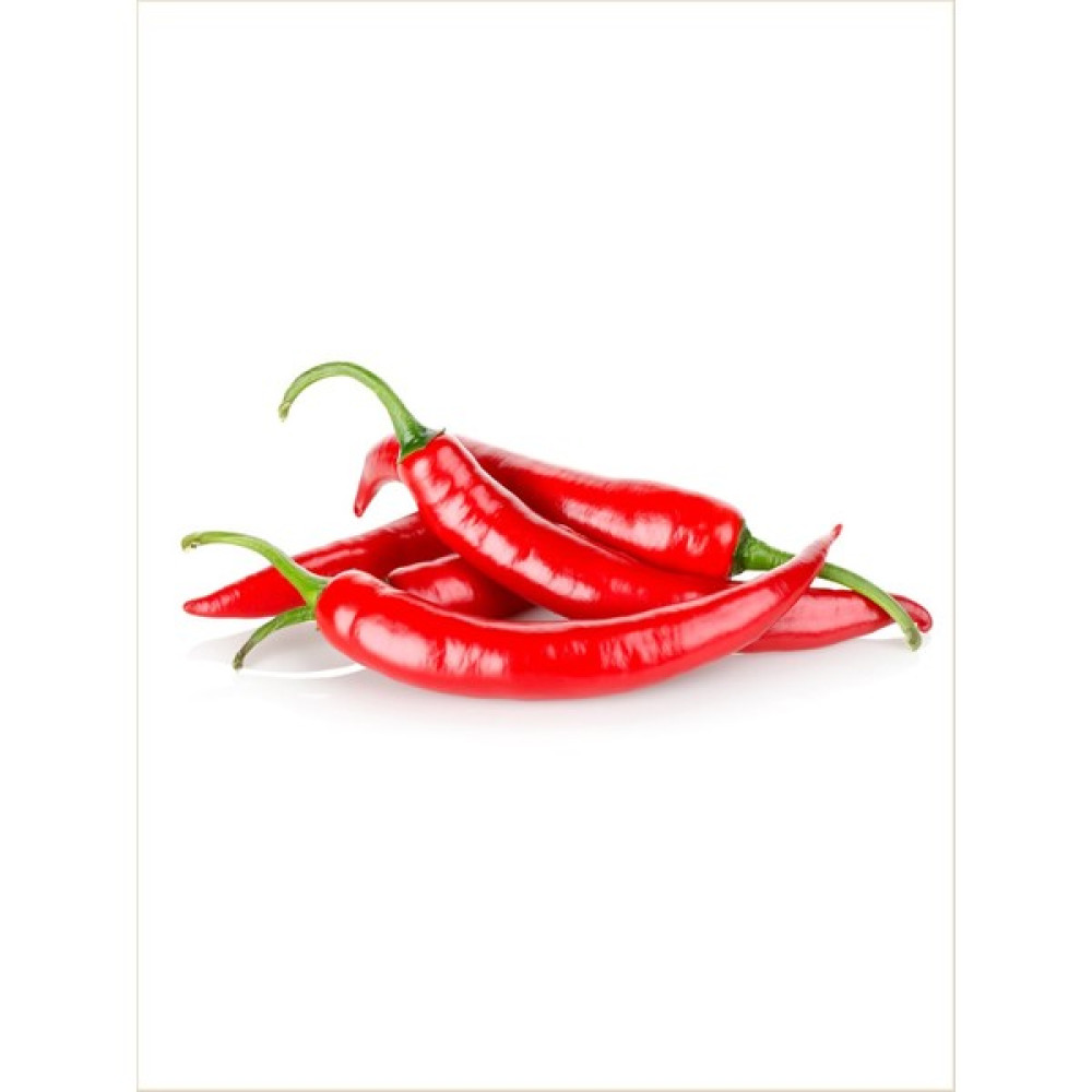 Tohumcumm 100 Adet Tohum Eko Paket Şili Biberi Tohumu Çok Acı Chili Biberi Tohumu Tohum Fiyatı