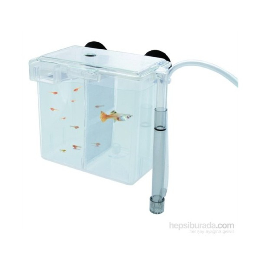 Tom 1453 İnternal Breeding Box + 2 adet Rotifish Starter Feed Yavru Balık Yemi 13Gr. Hediye! Evcil Hayvan Ürünleri Fiyatı