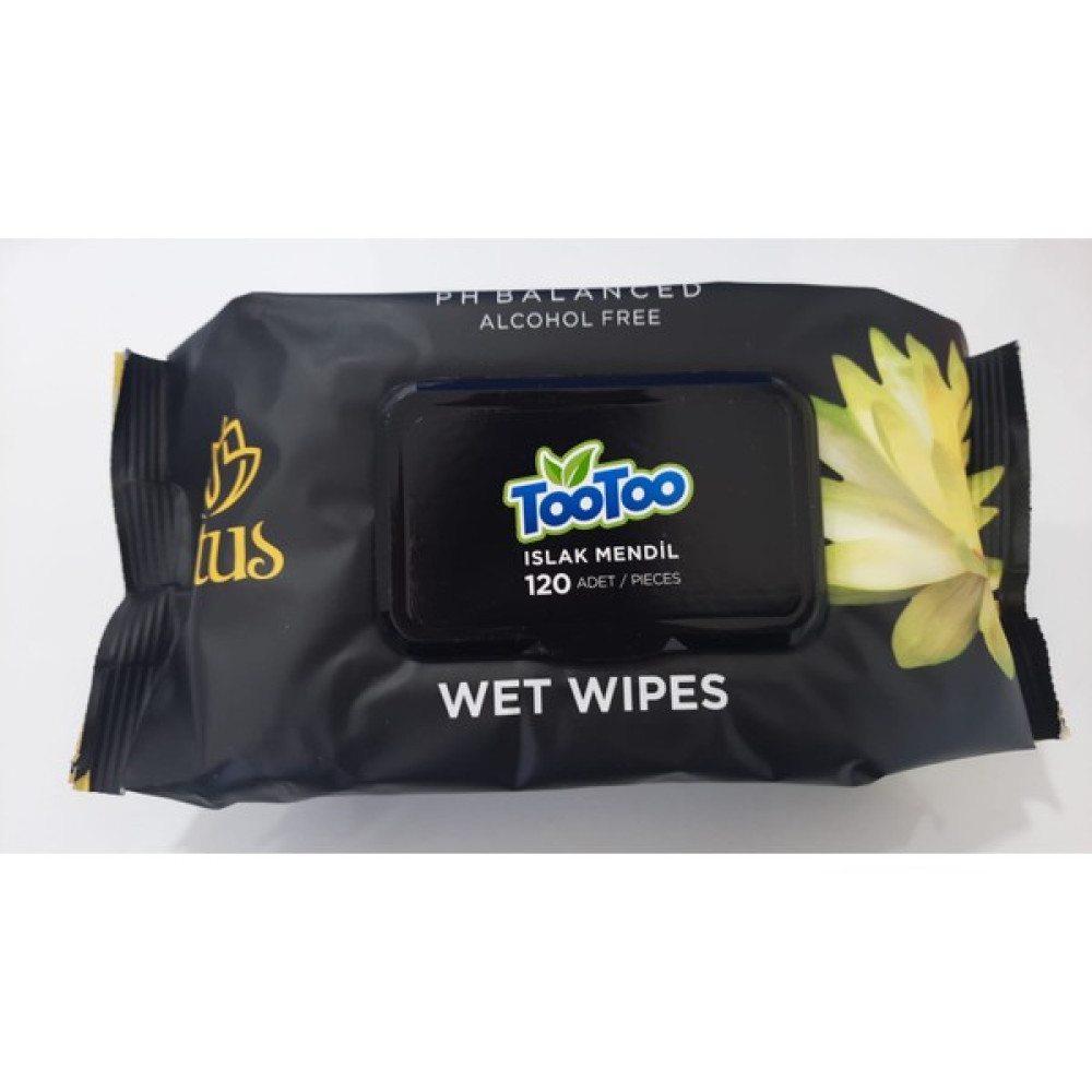Tootoo Islak Mendil Lotus 120'li Oto Boyaları Fiyatı
