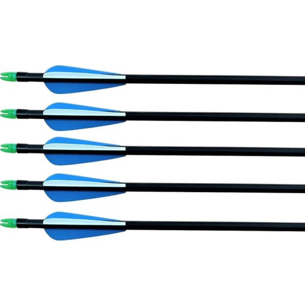 Topoint 30'' Değişebilen Uç Fiberglass Ok 12'li Paket Doğa Sporları Fiyatı