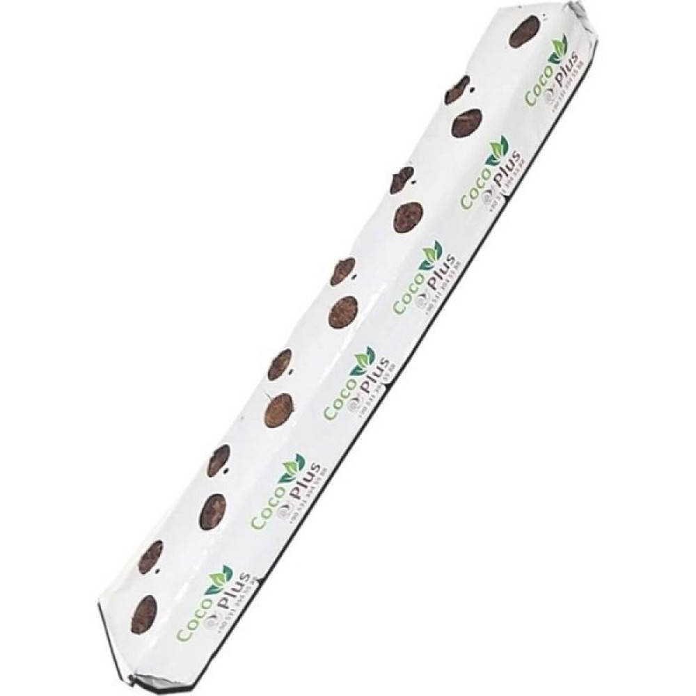 Topraksız Market Çilek Cocopeat Bitki Fiyatı