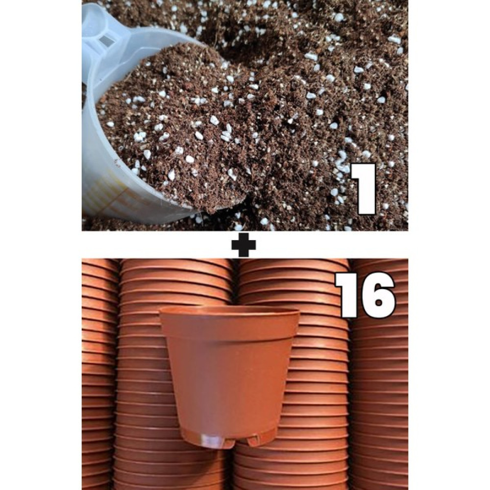 Toptan Kaktüs 1 Litre Kaktüs Sukulent Yetiştirme Toprağı ve 16 Adet 5.5 cm Kaktüs Sukulent Saksısı - Yok Bitki Fiyatı