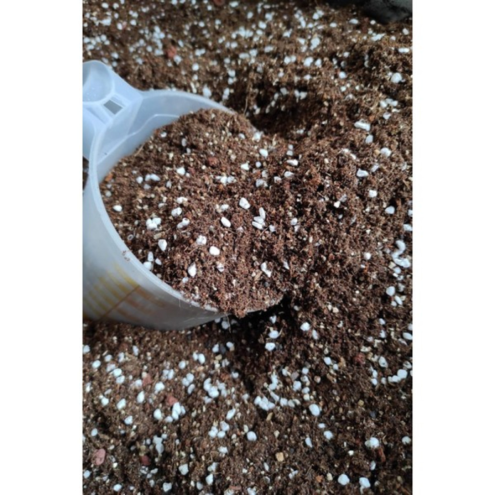 Toptan Kaktüs 1 Litre Toprak Kaktüs Sukulent Toprağı Kendi Üretimimizde Kullandığımız Toprak Bitki Fiyatı