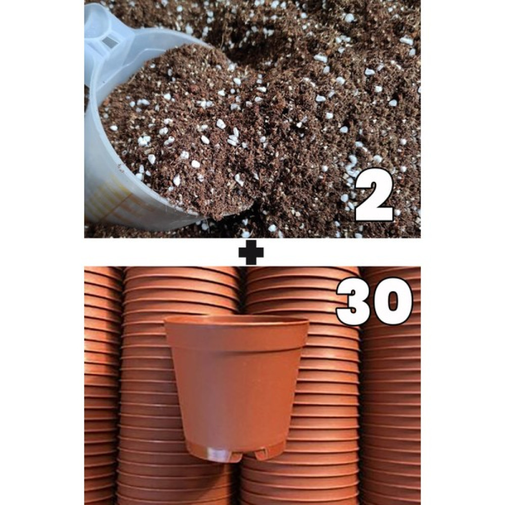 Toptan Kaktüs 2 Litre Kaktüs Sukulent Yetiştirme Toprağı ve 30 Adet 5.5 cm Kaktüs Sukulent Saksısı - Yok Bitki Fiyatı