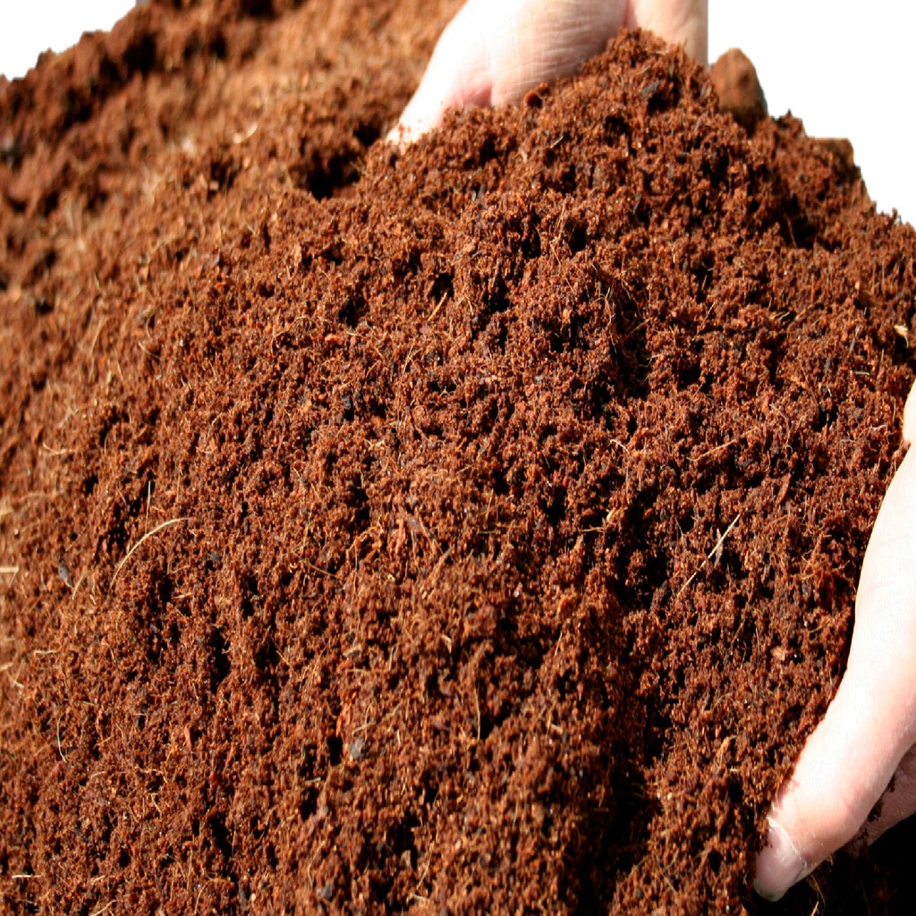 Toru Bahçe Cocopeat Hindistan Cevizi Torfu Lifi 5 Lt %100 Doğal Katkısız Diğer Fiyatı