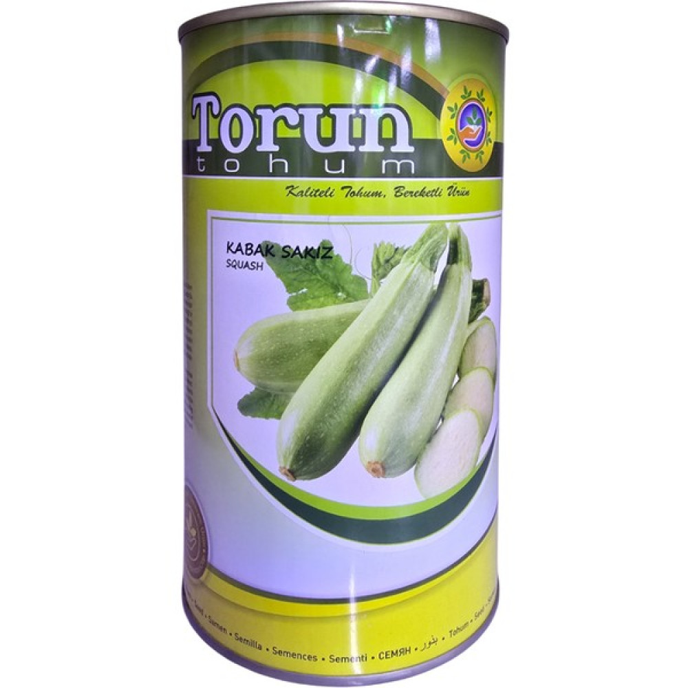 Torun Tohum Kabak Tohumu (Sakız) 500 gr Oto Boyaları Fiyatı