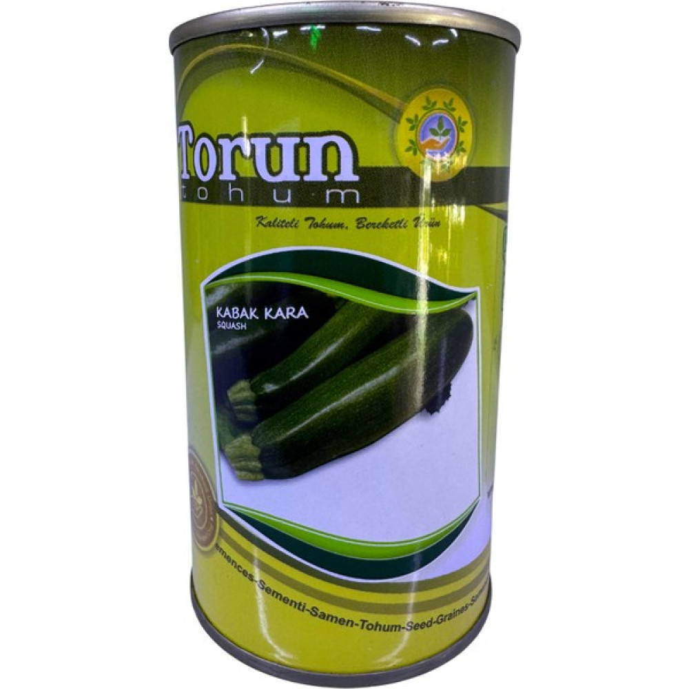 Torun Tohum Kara Kabak Tohumu 100 gr Oto Boyaları Fiyatı
