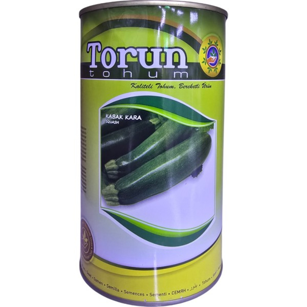Torun Tohum Kara Kabak Tohumu 500 gr Oto Boyaları Fiyatı