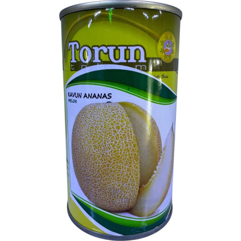 Torun Tohum Kavun Ananas Tohumu 100 gr Oto Boyaları Fiyatı