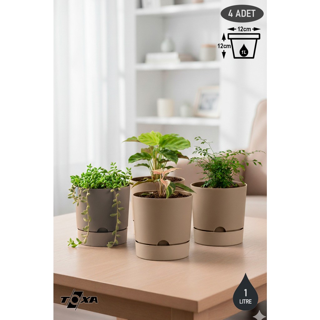 ToXA 4 Adet 1 Litre Begonya Saksı Seti 12cm Mat Plastik Drenajlı Tabaklı Çiçek Saksısı Set - Bej - 1L Set Saksı ve Aksesuarları Fiyatı
