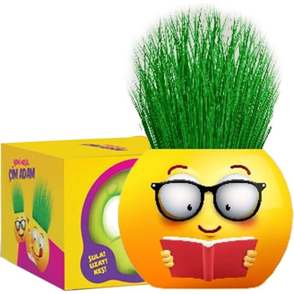 Toyaş Çim Adam 1 Adet Yeni Nesil Kutulu Emoji Şekiller Parti Hediyelik Okul Öğrenci Karne Hediyeleri - Renkli - 6 cm Hediyelik Eşya Fiyatı