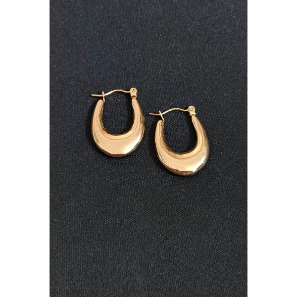 Trend Collection Kadın Gold Paslanmaz Çelik Bombeli Oval Çelik Küpe Gümüş Küpe Fiyatı