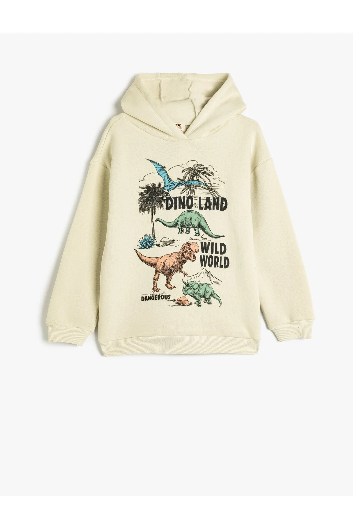 Oversize Kapşonlu Sweatshirt Dinozor Baskılı Uzun Kollu Erkek Çocuk Sweatshirt Fiyatı