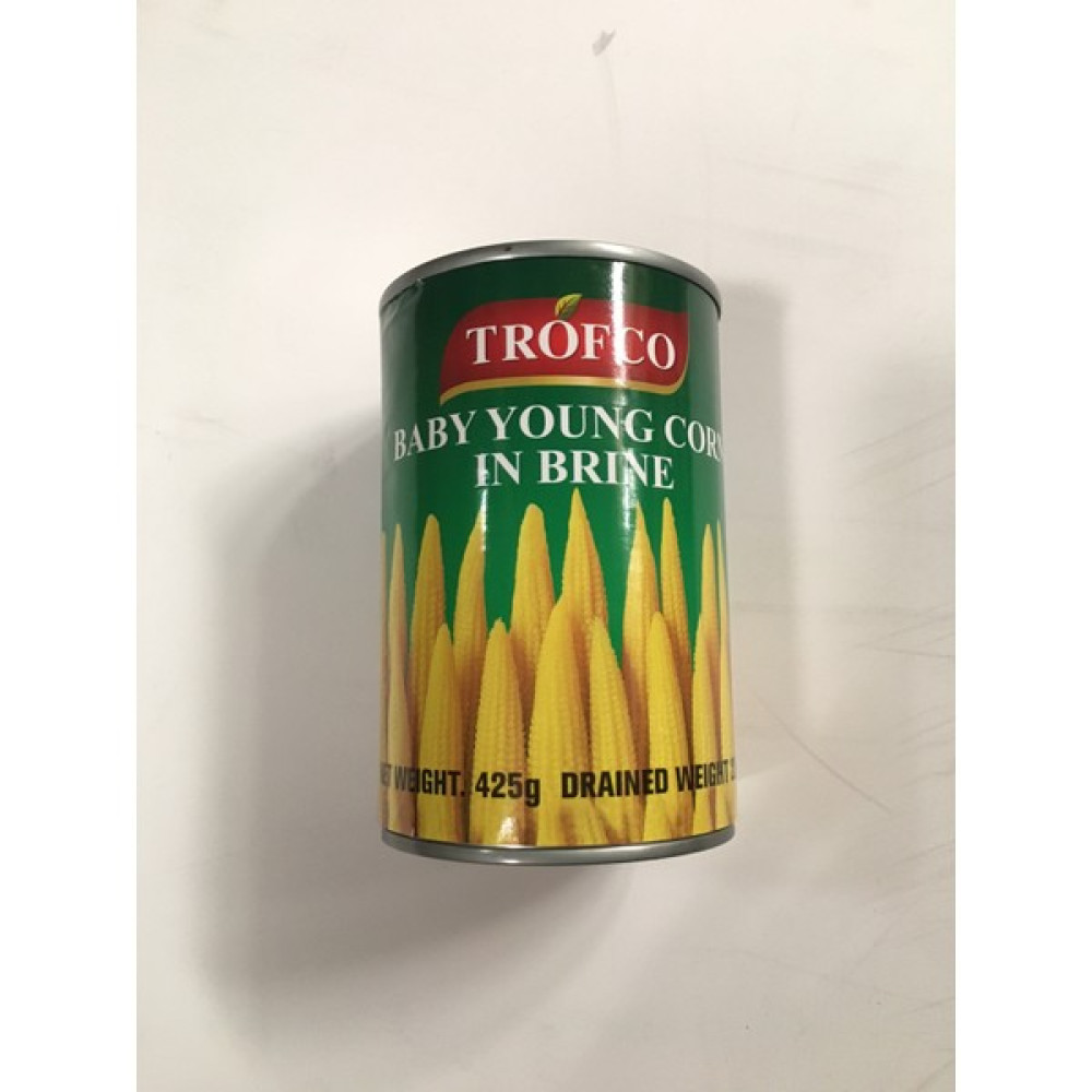 Trofco Mısır Koçanı 425 gr Oto Boyaları Fiyatı