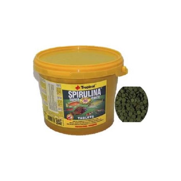 Tropical Super Spirulina Forte Tablet 250 Adet Yüksek Kaliteli Akvaryum Balıkları İçin Beslenme Evcil Hayvan Ürünleri Fiyatı