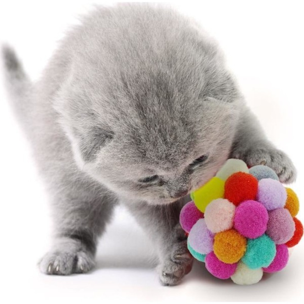 Truego Renkli Ponpon Top Kedi Oyuncağı 7 cm Evcil Hayvan Ürünleri Fiyatı