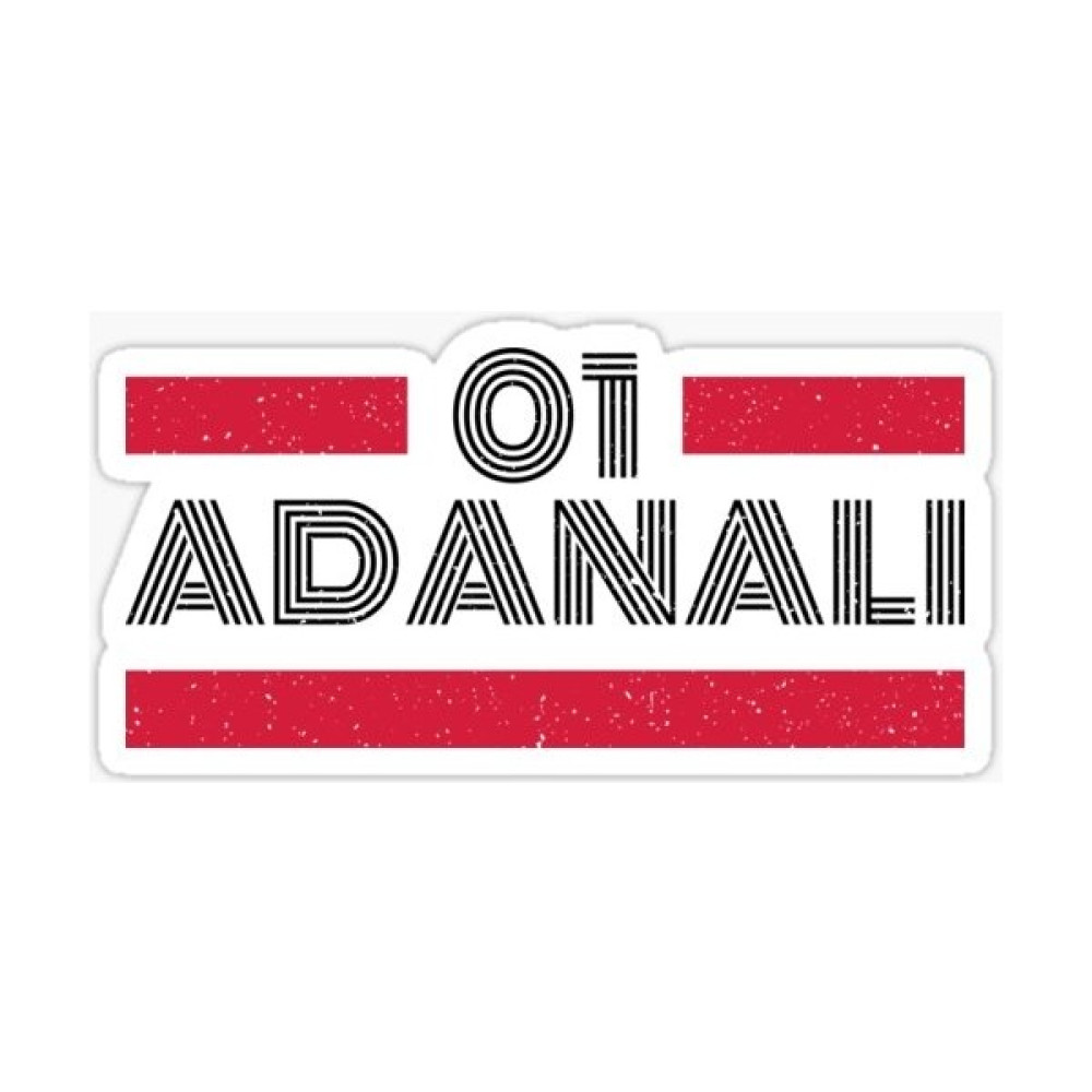 Tsc 01 Adanalı Plaka Araba Sticker Yapıştırması 20 cm - Beyaz - Şeffaf Oto Boyaları Fiyatı