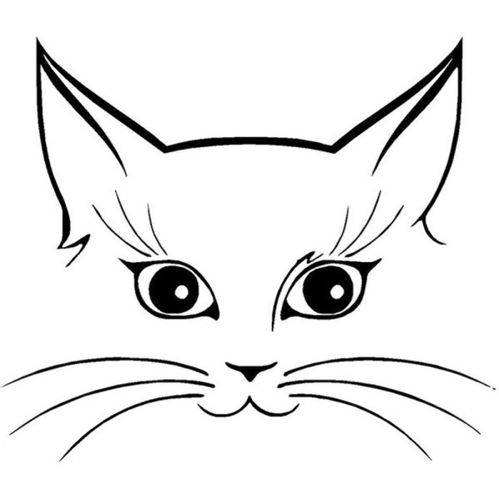 TSC Kedi Araba Oto Sticker Yapıştırması 18CM - Beyaz - Şeffaf - Renkli Oto Boyaları Fiyatı