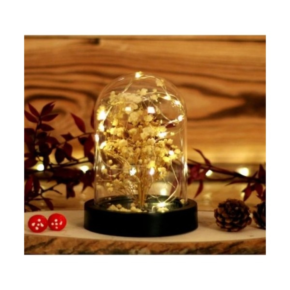 Ttt LED Işıklı Mini Ağaç Fanus Teraryum 2 Bitki Fiyatı