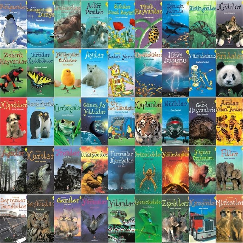 Tübitak Popüler Bilim Ilk Okuma Kitapları 45 Kitap Set (7+ Yaş) Zihinsel Gelişim Kitapları Fiyatı