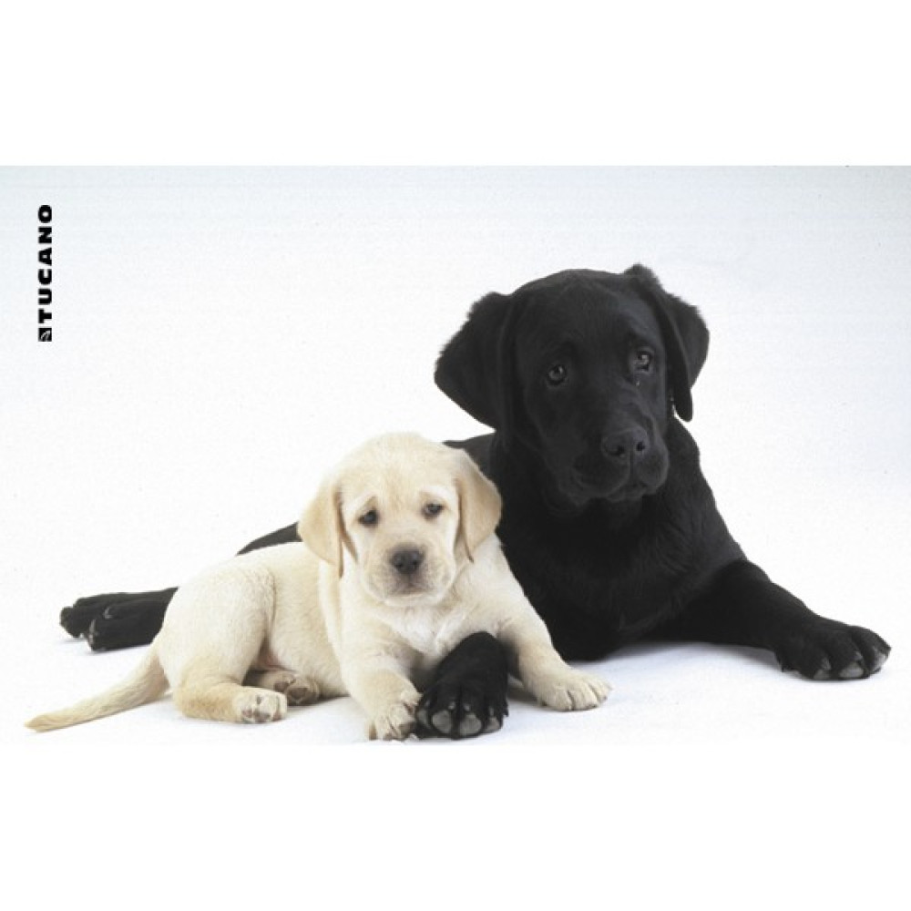 Tucano MPDEL-137 Natura Mouse Pad Siyah Beyaz Köpekler Mouse Pad Fiyatı