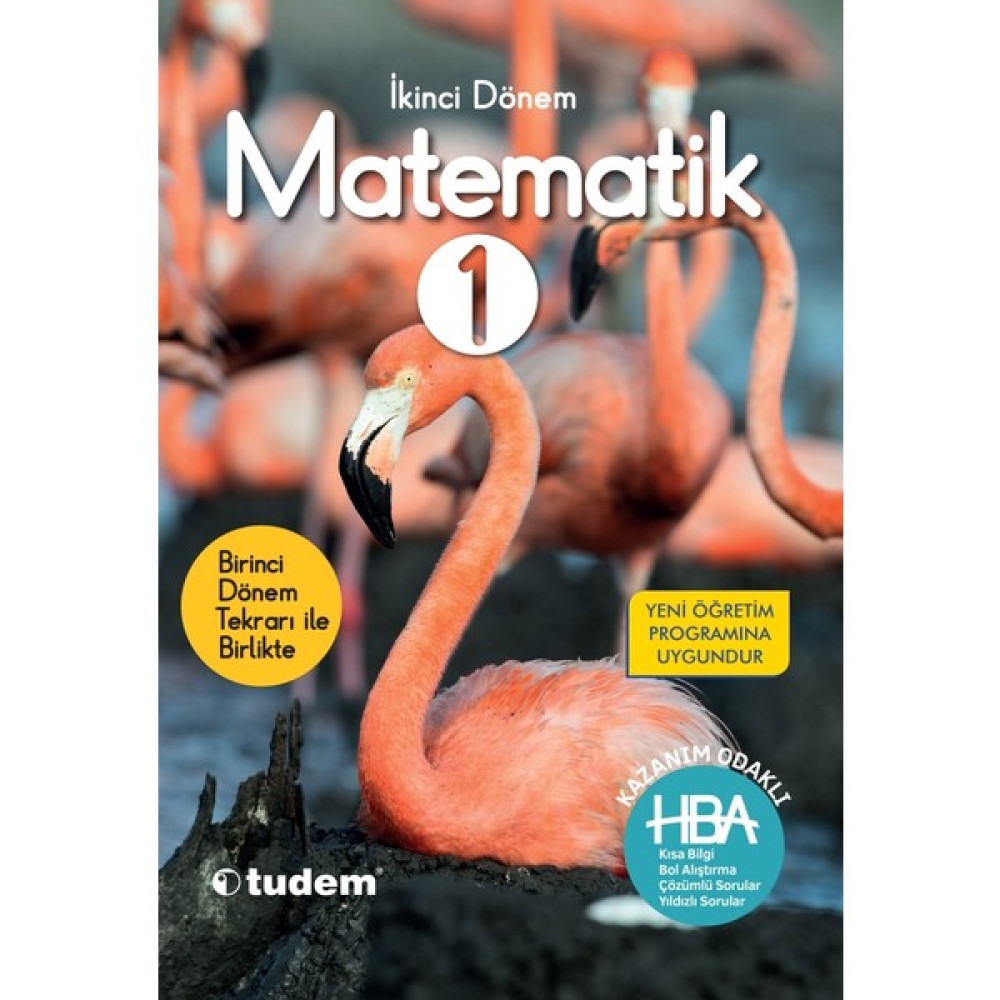 Tudem Yayınları 1. Sınıf Matematik HBA 2. Dönem Kaynak Kitapları Fiyatı