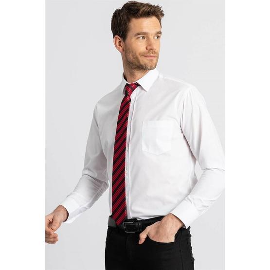 Tudors Klasik Fit Rahat Kesim Cotton Efekt Poplin Erkek Gömlek Erkek Gömlek Fiyatı