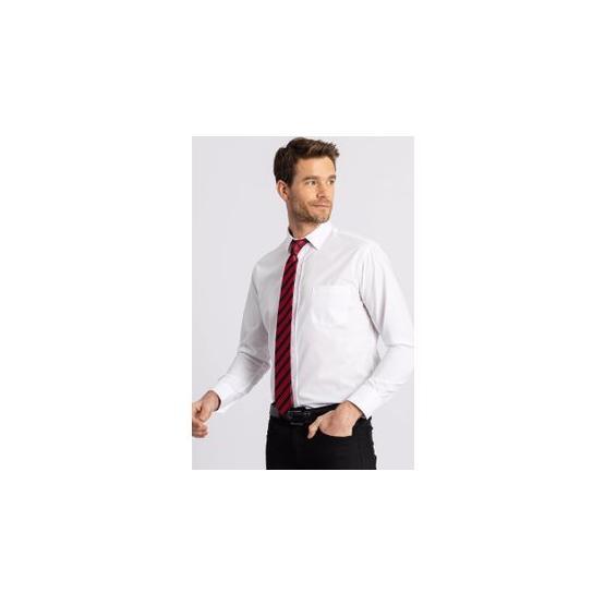 Tudors Klasik Fit Rahat Kesim Cotton Efekt Poplin Erkek Gömlek