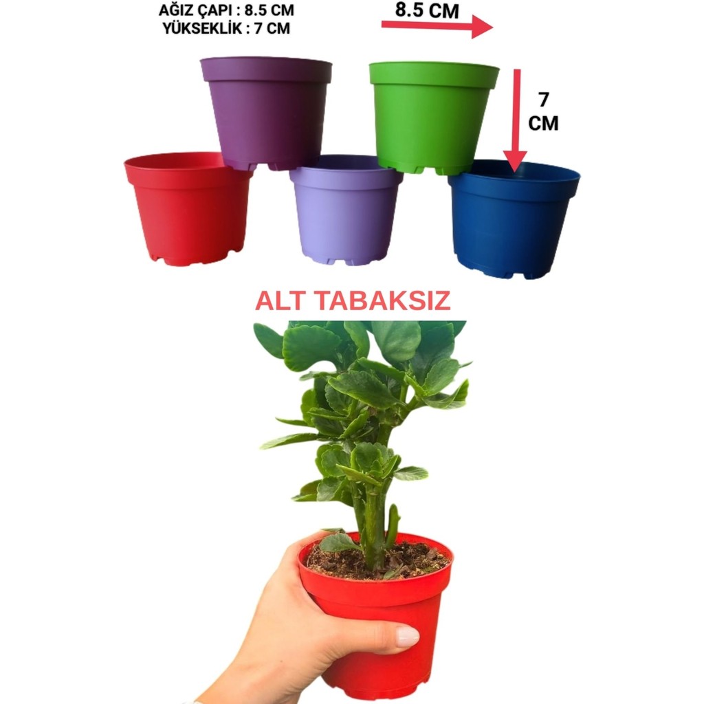 Tuğel Flowers 20 Adet KÜÇÜK BOY Plastik 5 Renkli Çiçek Üretim Saksısı (8.5 CM.LİK) Alt Tabaksız - 8.5 cm SSD / Solid State Drive Fiyatı