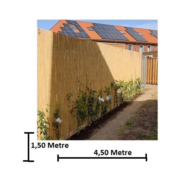 Tunalar Bambu Kamış Hasır 1,50 Metre x 4,50 Metre Diğer Fiyatı