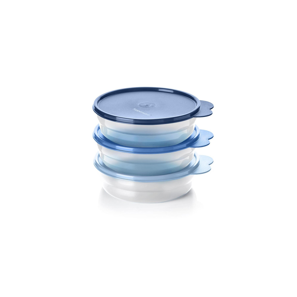 Tupperware Bonibon Kase 3lü Buz Saklama Kapları Fiyatı