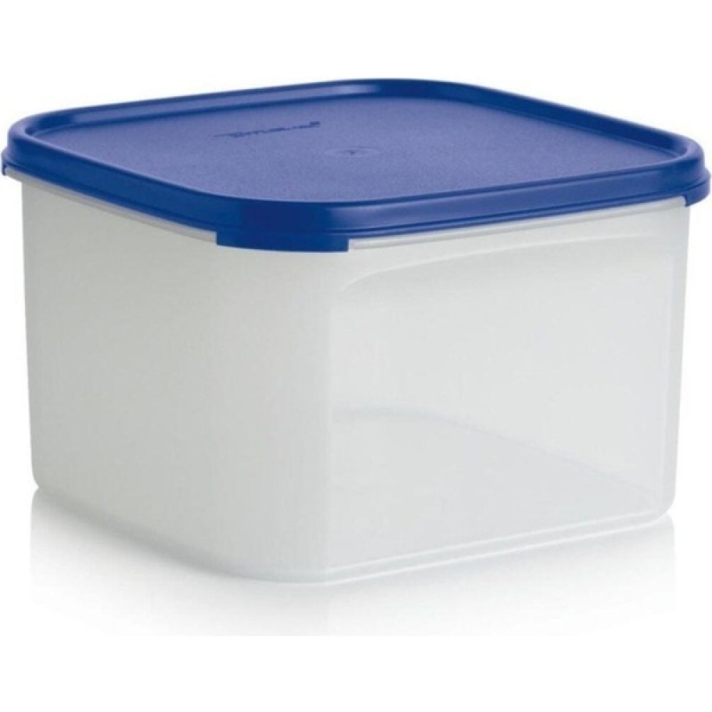 Tupperware Oval Modüler Saklama Kabı 2.6 Lt Saklama Kapları Fiyatı
