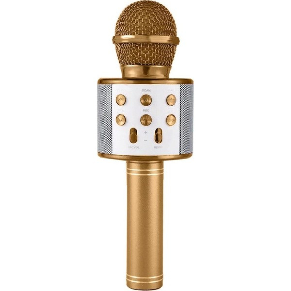 Turgut Ticaret TV50 Mikrofonlu Hoparlörlü Bluetooth /Tf Kart/Usb Destekli Karaoke Müzik Aletleri Fiyatı