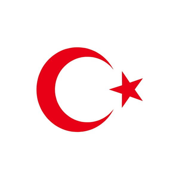 Türk Bayrağı Oto Sticker - 10x8 cm SSD / Solid State Drive Fiyatı