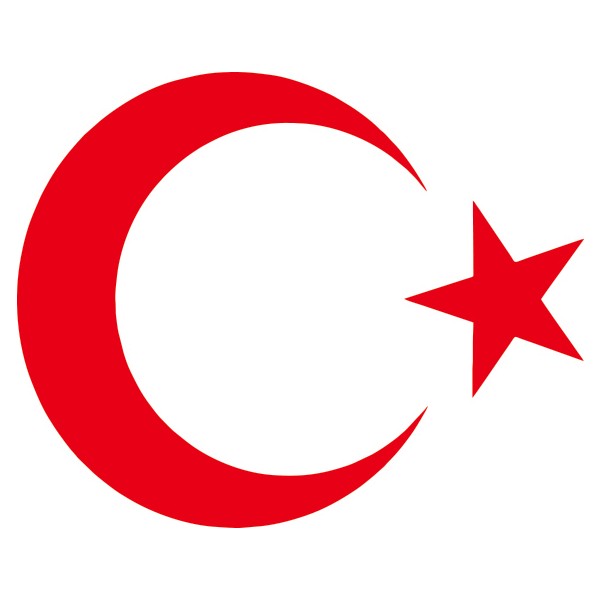 Türk Bayrağı Oto Sticker - 20x16 cm SSD / Solid State Drive Fiyatı