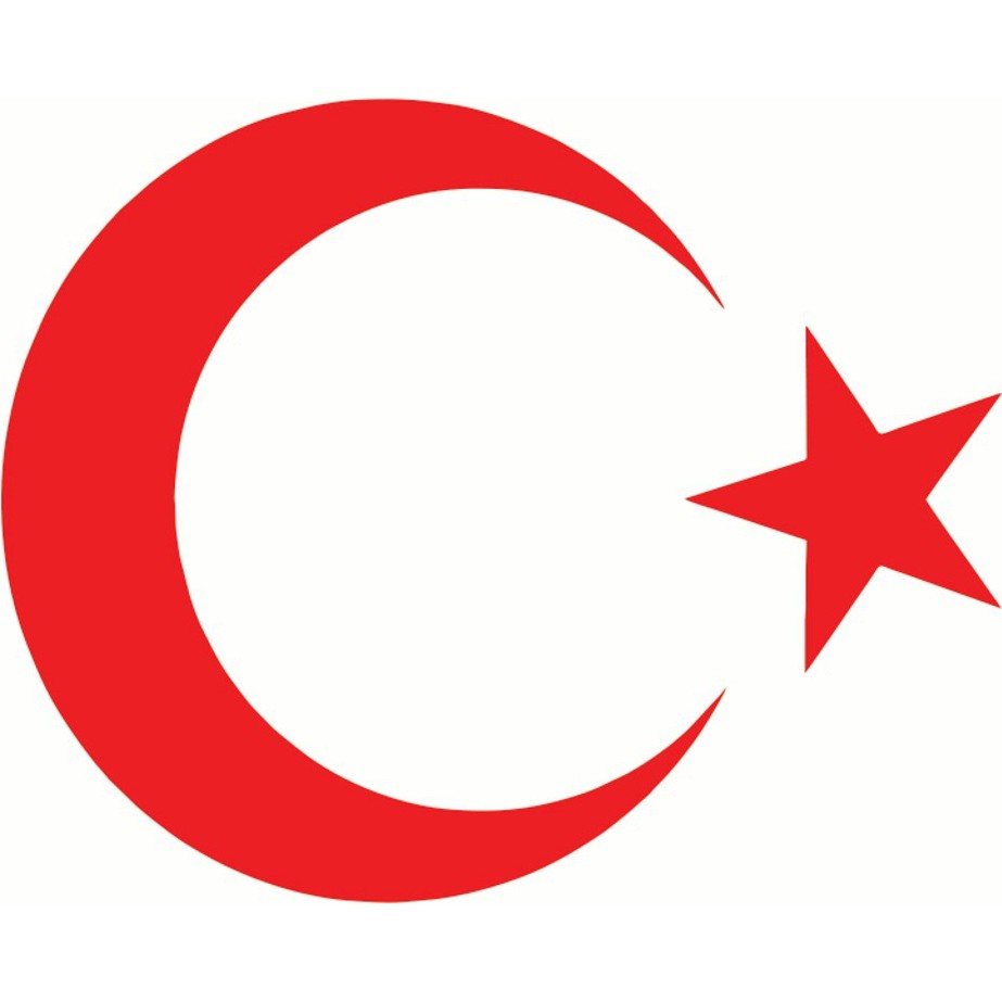 Türk Bayrağı Oto Sticker - 30x24 cm SSD / Solid State Drive Fiyatı