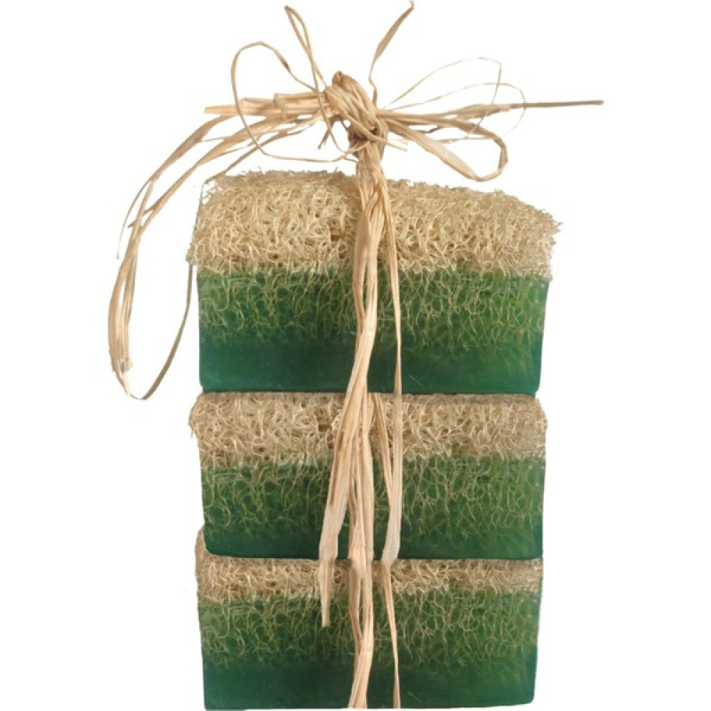 Turkishcare Doğal Kabak Lifli Aloe Vera Sabun 3'lü Paket Sabunlar Fiyatı