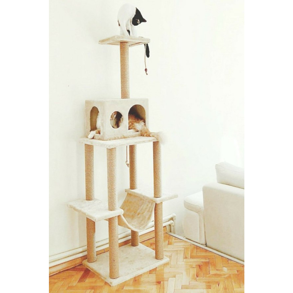 Turkuaz Pet Tr891 Zooplus Katli Kedi Oyun Evi Bej Evcil Hayvan Ürünleri Fiyatı