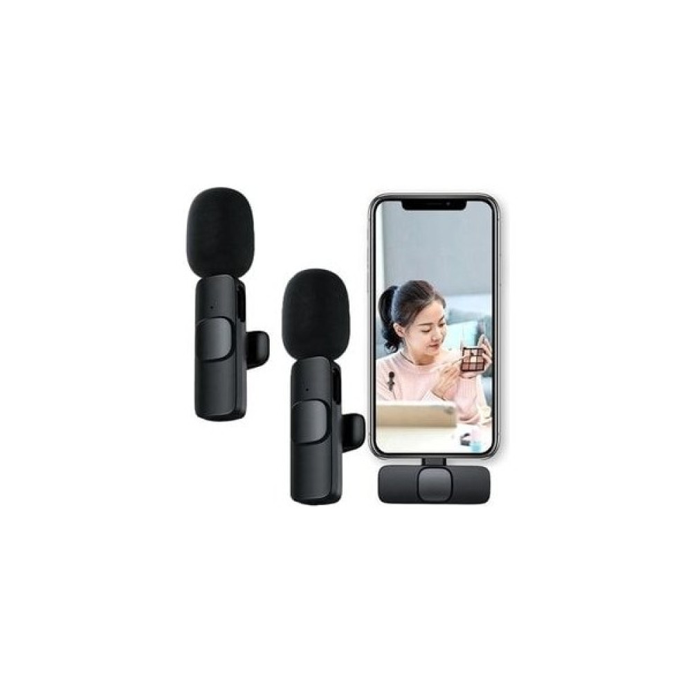 Type C Girişli 2 Li Kablosuz Yaka Mikrofonu Wireless Youtube Tiktok Vlog Mikrofon - Siyah Oto Boyaları Fiyatı