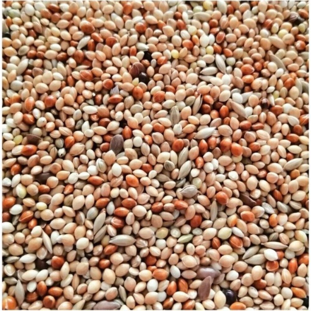 Ugy Store Muhabbet Kuşu Yem 1 kg Evcil Hayvan Ürünleri Fiyatı