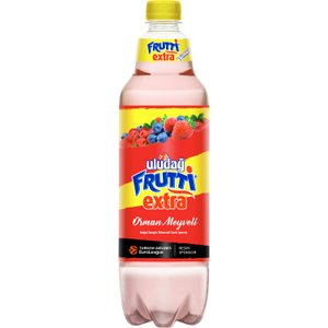 Uludağ Frutti Extra Orman Meyveli 1 L Diğer Fiyatı
