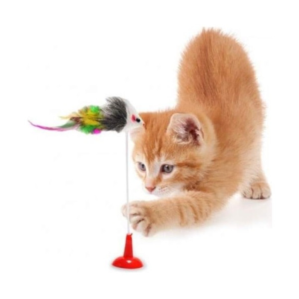 Uray Toptan Vantuzlu Kedi Oyuncağı - Fare Yakalama Oyuncağı Evcil Hayvan Ürünleri Fiyatı
