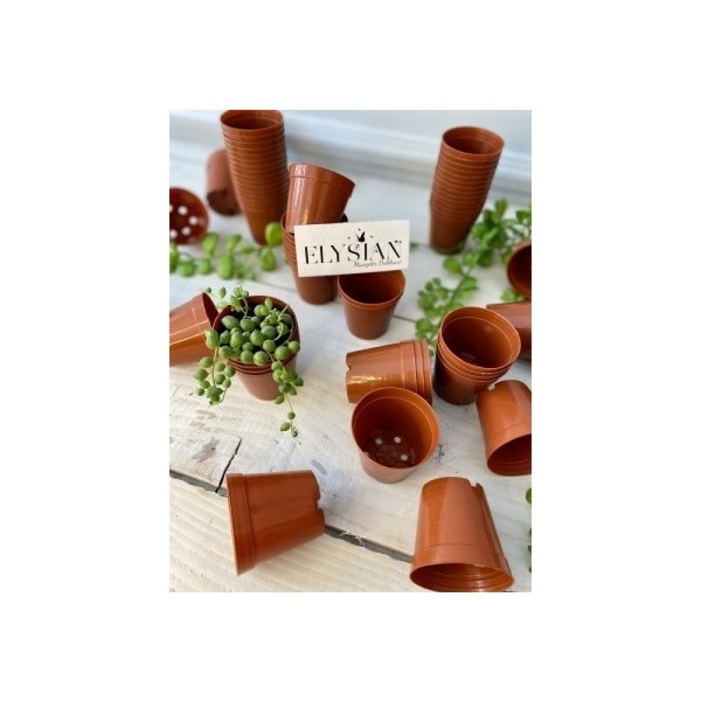 Üretim Saksı 40 Adet Küçük Kaktüs Sukulent Üretim Saksısı 5,5x5 cm Kahverengi Renkli Plastik Saksı Saksı ve Aksesuarları Fiyatı