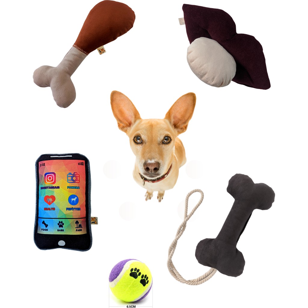 Utd Pet 5'li Köpek Oyuncak Seti ( Kemik Oyuncaklı) - Gri Anne Bebek Oyuncak Fiyatı