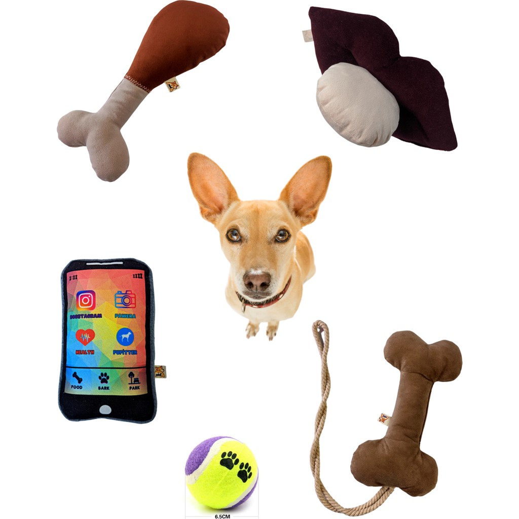 Utd Pet 5'li Köpek Oyuncak Seti ( Kemik Oyuncaklı) - Kahverengi Anne Bebek Oyuncak Fiyatı