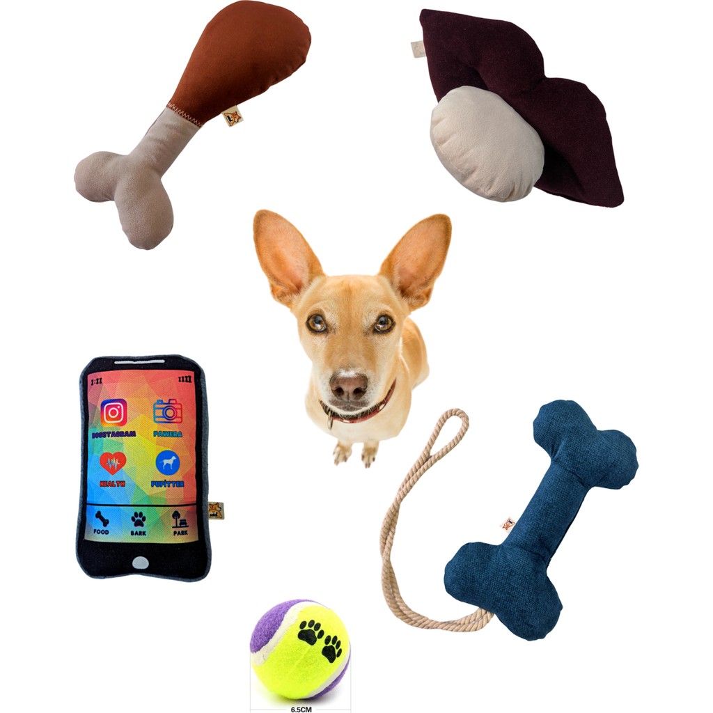 Utd Pet 5'li Köpek Oyuncak Seti ( Kemik Oyuncaklı) - Mavi Anne Bebek Oyuncak Fiyatı
