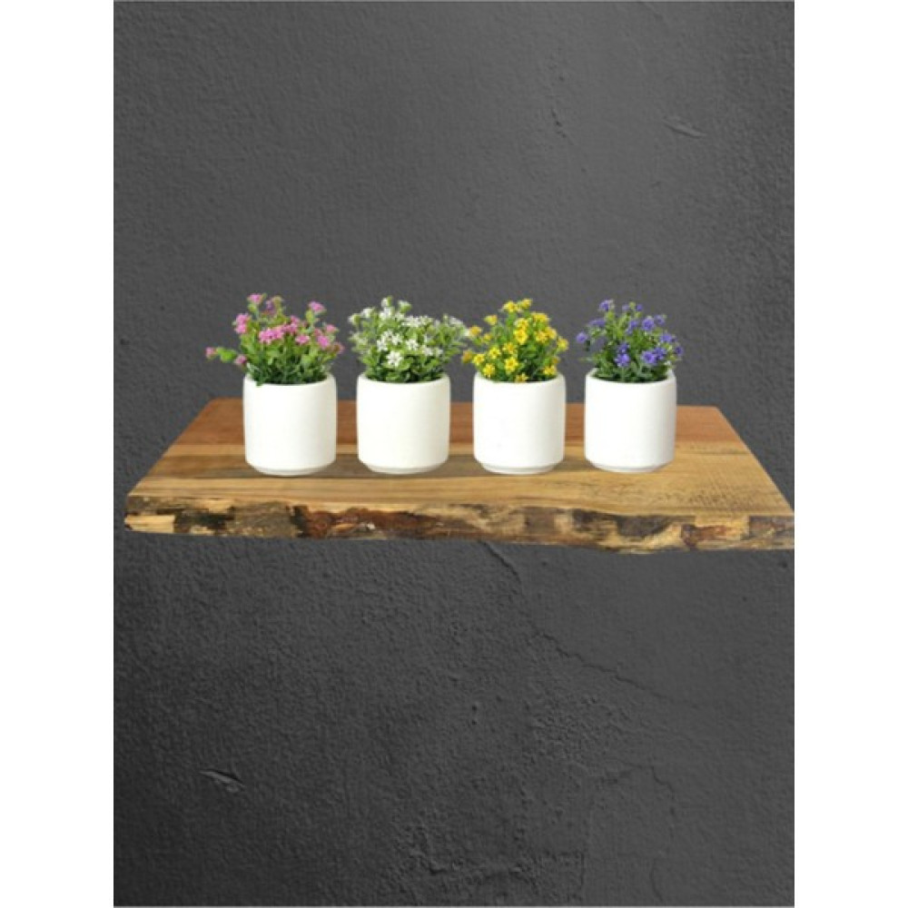 Uwey Collection 4lü Beyaz Çiçeksiz Saksı Küçük Dekoratif Çiçeklik Saksı ve Aksesuarları Fiyatı