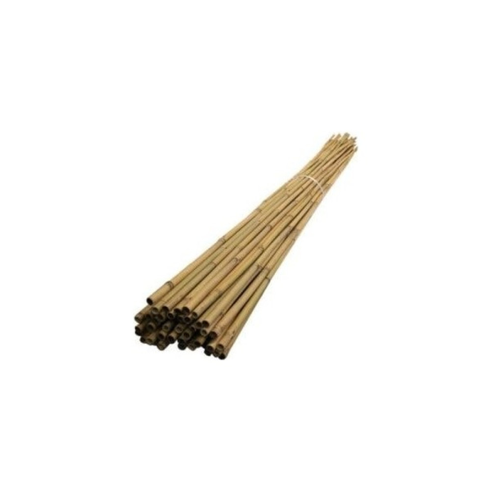 Uzay Bahçesi Doğal Bambu Çubuk/ Bitki Destek Çubuğu 60 cm 10 Adet Bitki Fiyatı