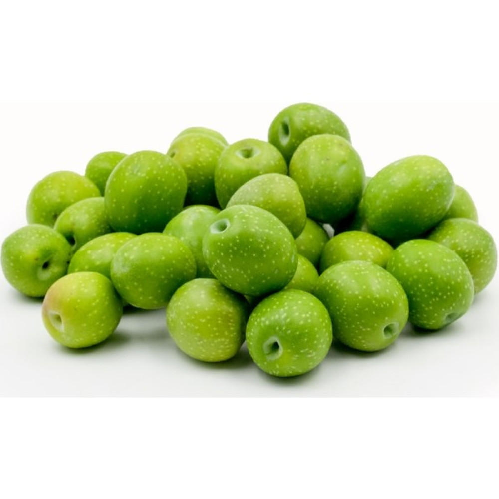 Uzay Bahçesi Trilye Zeytin Fidanı Fidan Fiyatı