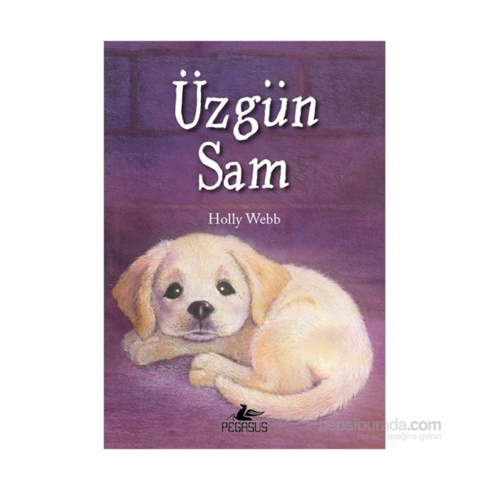 Üzgün Sam-Holly Webb Çocuk Masal Fiyatı